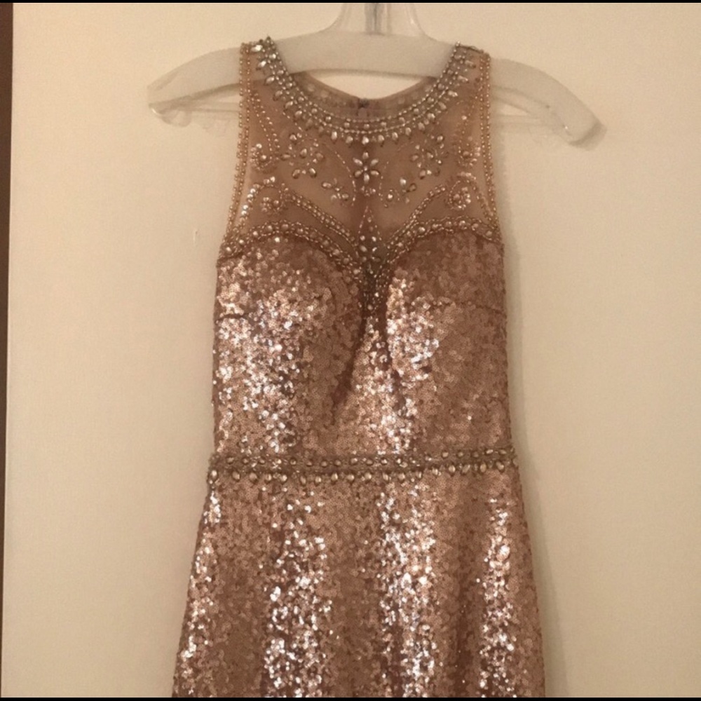 Sequined Rose Gold Dress - Picture 2 of 6